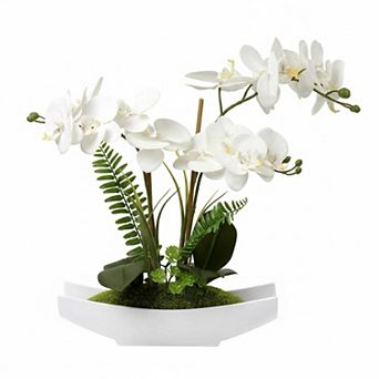 KSIZUIS 15" White Faux Phalaenopsis Orchid with Vase, Moss Fern for Home Office Decor