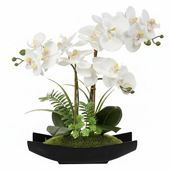 KSIZUIS 15" White Faux Phalaenopsis Orchid with Vase, Moss Fern for Home Office Decor