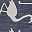 Navy White