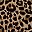 Brown Leopard