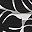 Black Gray