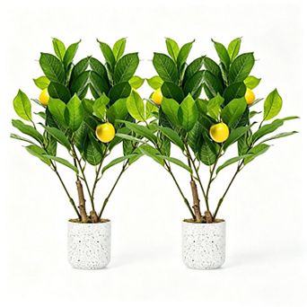 2 pc 19.7" Artificial Lemon Trees with White Pot