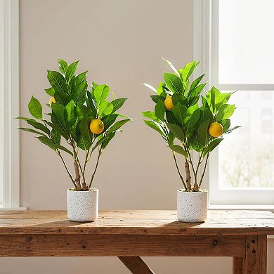 2Pcs 19.7" Artificial Lemon Trees with White Pot