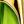 Peridot