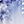 Blue White