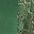 Bright Green