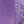 Bright Purple