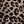 Leopard Print