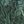 Green Leaf