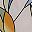 Beige Leaf