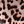 Brown Leopard