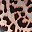 Brown Leopard