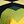 Yellow Black