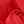 Light Red Red