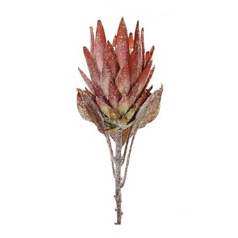 Melrose Orange Protea Flower Stem Set of 2