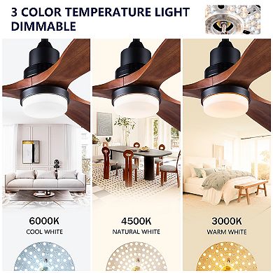 Loheer 52 Inch Modern Ceiling Fan, with Dimmable LED Light & Remote Control, for Living Room
