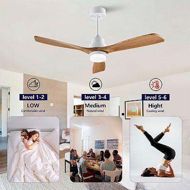 Loheer 52 Inch Modern Ceiling Fan with Dimmable LED Light, Reversible DC Motor and Remote