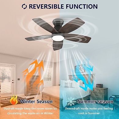 Loheer 32 Inch Low Profile Ceiling Fan with Light & Remote Dimmable Quiet DC Motor for Bedroom