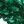 Clear Green