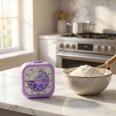 60 Minute Kitchen Timer, Digital Visual Timer for Student and Adults, Clock for Meeting