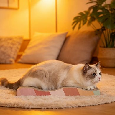 Large double sided corrugated cat scratcher with catnip 2 pack