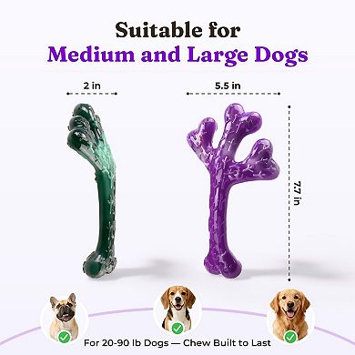 2 Pack Cactus Dog Chew Toys Nylon Durable for Large Dogs