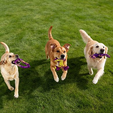 3 Pack Durable Dog Chew Toys for Medium and Large Dogs