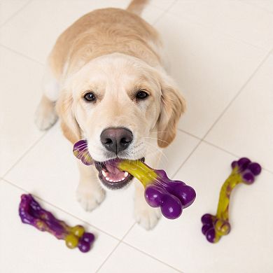 3 Pack Durable Dog Chew Toys for Medium and Large Dogs