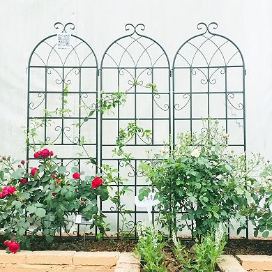 Aoolive 4-Pack 71" Metal Garden Trellis Set, Rustproof Outdoor Plant Support for Climbing Vines