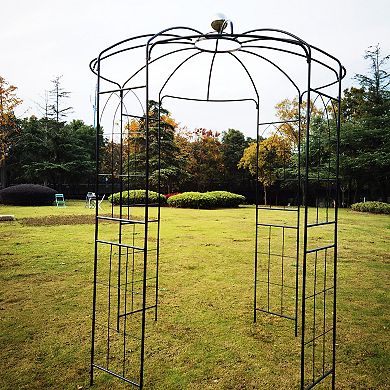 Aoolive Birdcage Garden Gazebo Arch - 9.5ft Iron Pergola Pavilion Arbor for Weddings