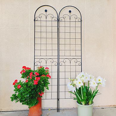 Aoolive 4-Pack Rustproof Metal Garden Trellises for Climbing Plants, 86.7" H x 19.7" W