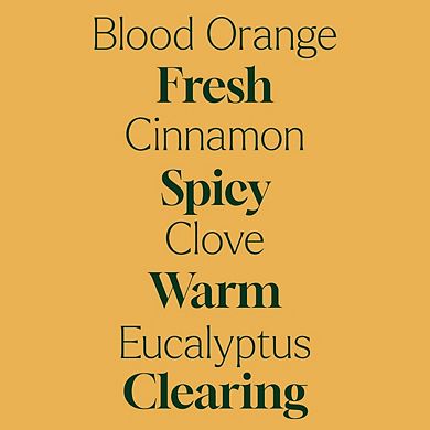 Plant Therapy Germ Fighter Carpet Refresher 16 oz