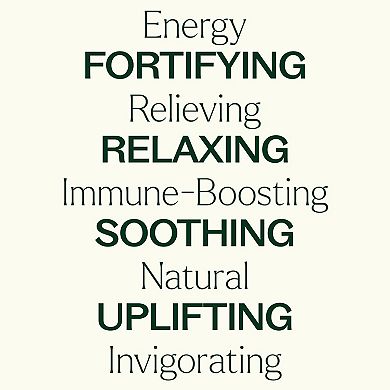 Plant Therapy Top 6 Essential Oil Blends Set