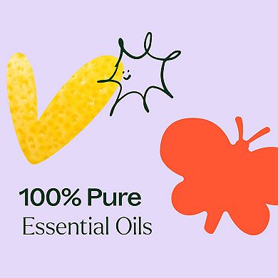 Plant Therapy Top 6 Essential Oil Blends Set