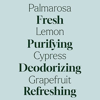 Plant Therapy Deodorizing Carpet Powder 16 oz