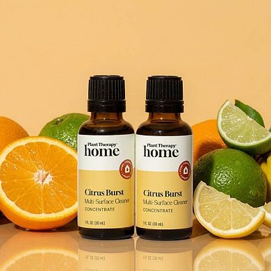 Plant Therapy Citrus Burst Multi-Surface Cleaner Concentrate - 2 Pack