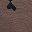 Beige Black