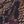 Black Purple