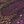 Blue Black Purple