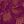 Purple Black