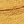 Mustard Yellow