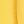 Sunflower Yellow