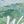 Green Wheatland