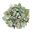 Green Aventurine