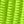 Bright Green