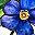 Blue Flower