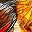Colorful Bird