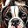 Dogs