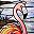 Flamingos