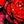Rose Heart